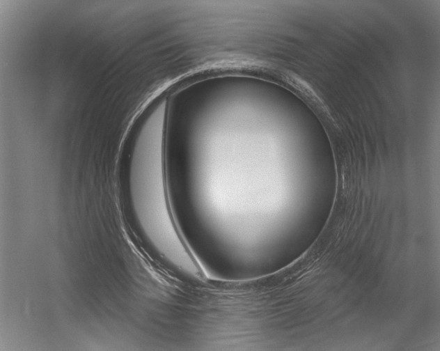 X0000059040436200510070829