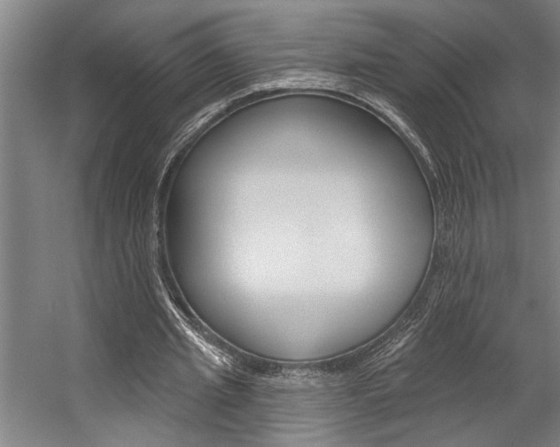 X0000059040437200510070829