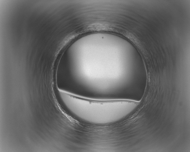 X0000059040438200510070829