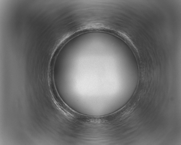 X0000059040439200510070829