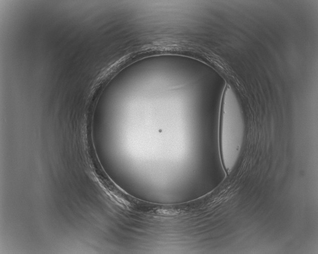 X0000059040442200510070829