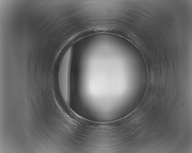 X0000059040444200510070829