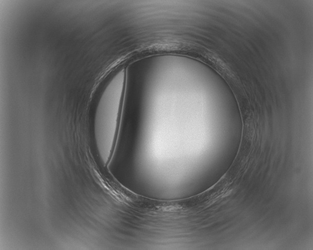 X0000059040446200510070829