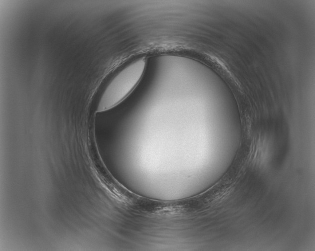 X0000059040447200510070829
