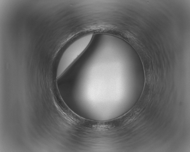 X0000059040448200510070829