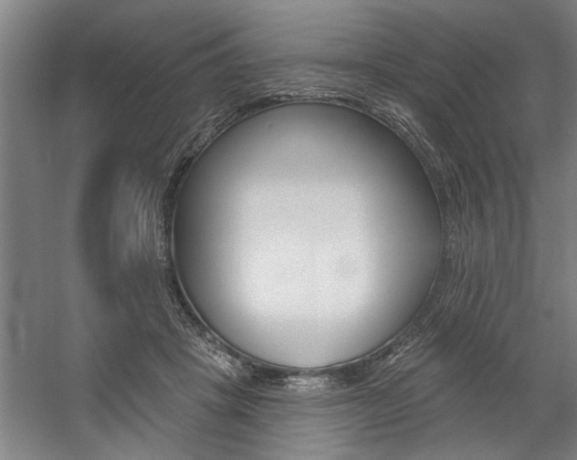 X0000059040457200510070829