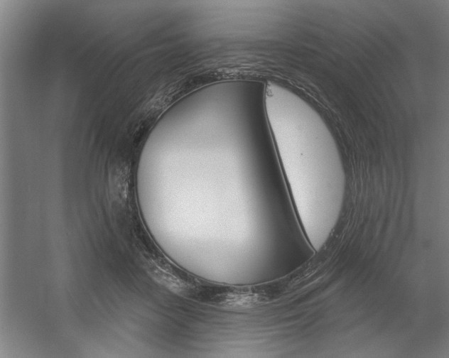X0000059040458200510070829