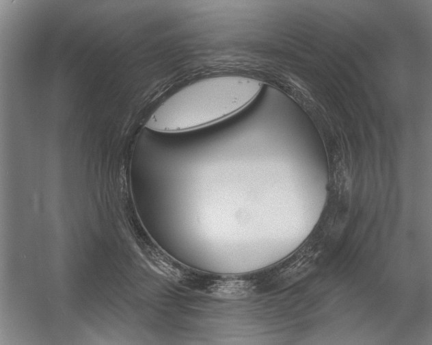 X0000059040459200510070829