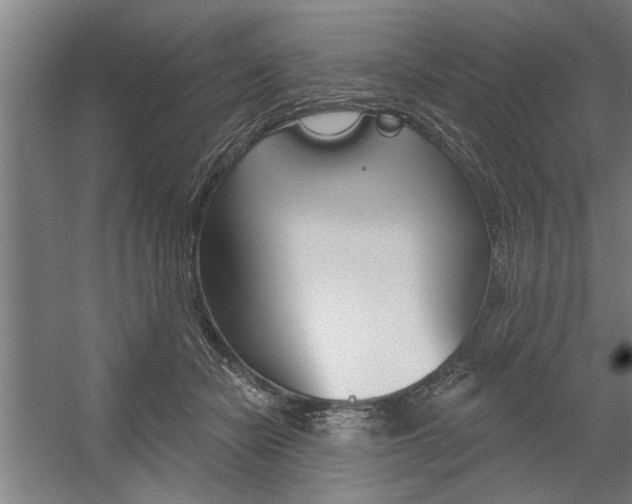 X0000059040462200510070829