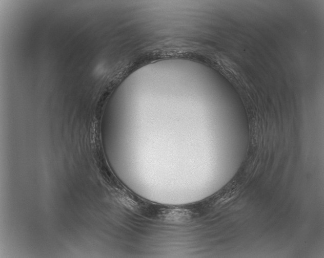 X0000059040463200510070829
