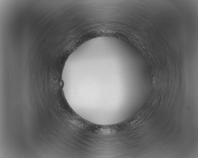 X0000059040464200510070829