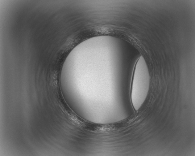 X0000059040466200510070829