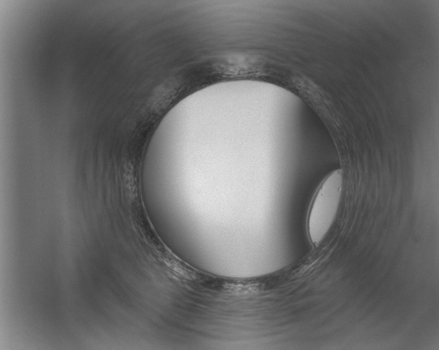 X0000059040469200510070829
