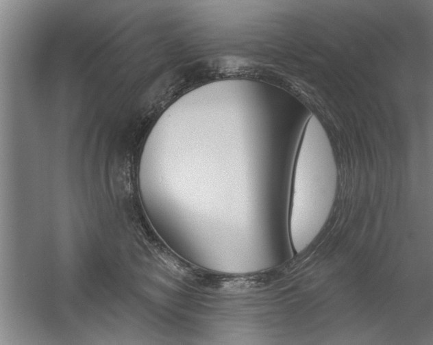 X0000059040470200510070829