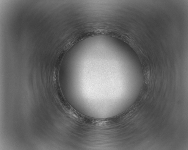 X0000059040472200510070829