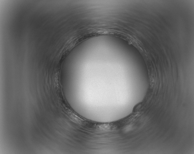 X0000059040473200510070830