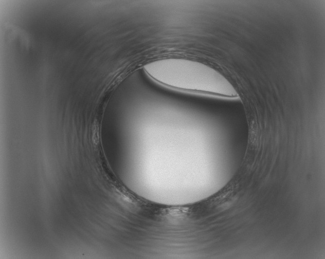 X0000059040474200510070830