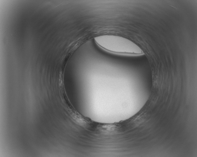 X0000059040478200510070830