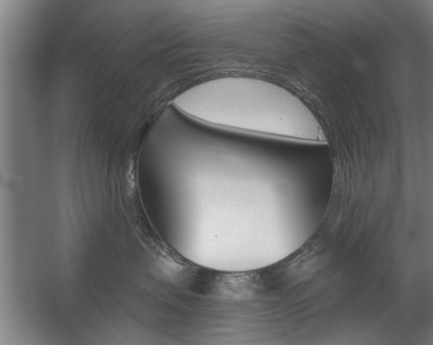 X0000059040479200510070830