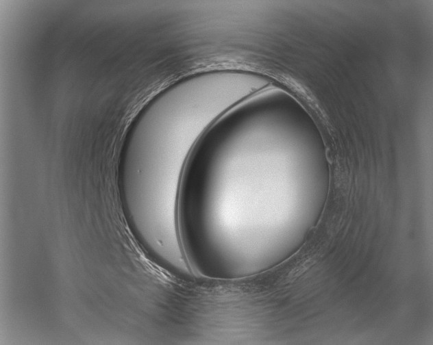 X0000059040481200510070829