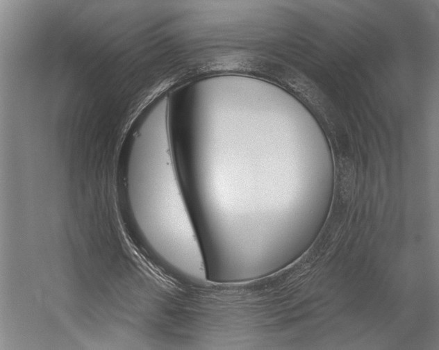 X0000059040482200510070829