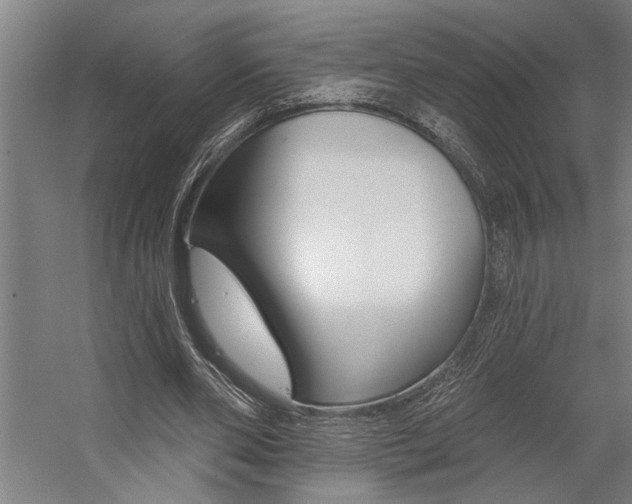 X0000059040486200510070829