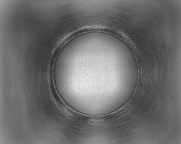 X0000059040487200510070829