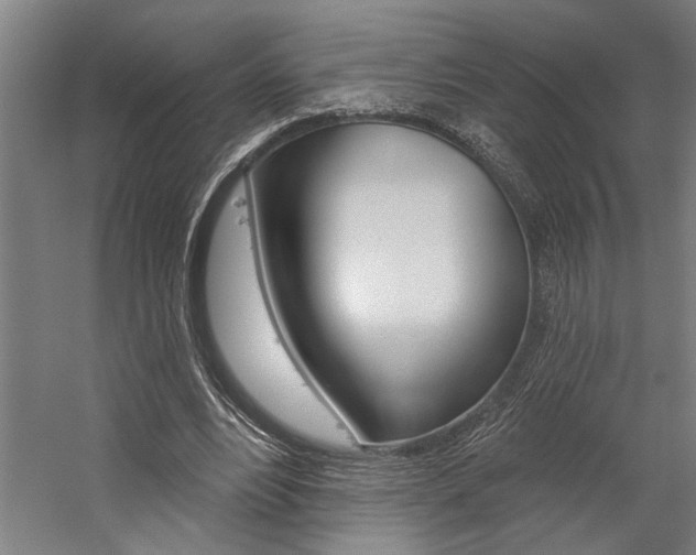 X0000059040488200510070829