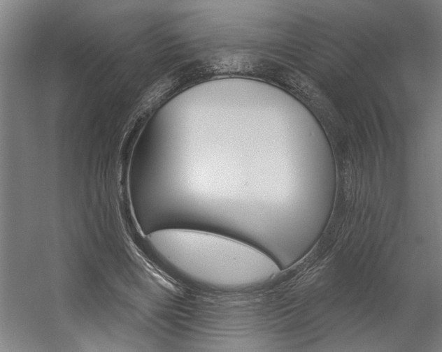 X0000059040490200510070829