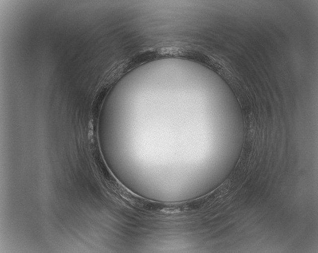 X0000059040502200510070828