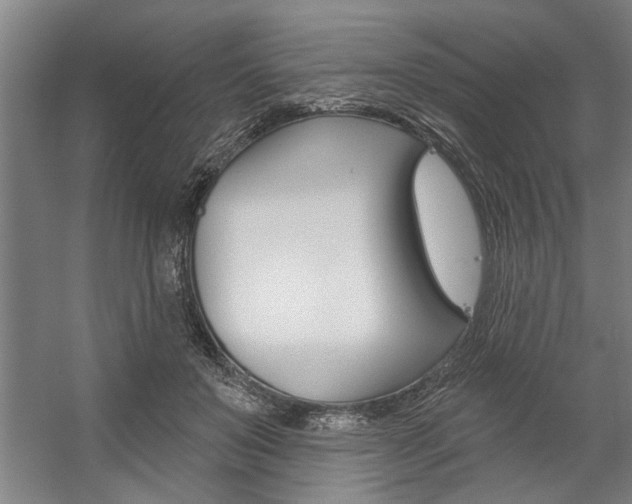 X0000059040503200510070828