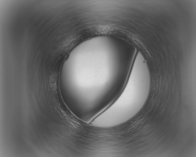 X0000059040505200510070828