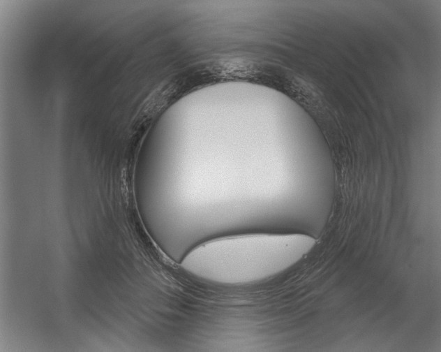 X0000059040506200510070828