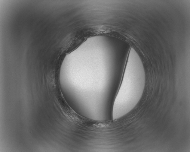 X0000059040512200510070828
