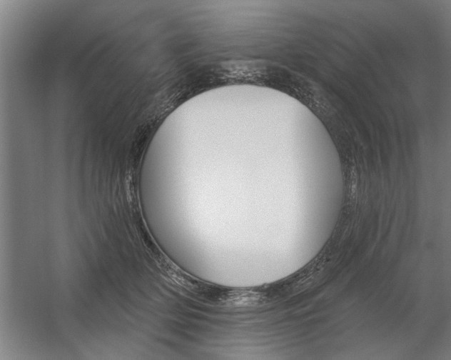 X0000059040514200510070828