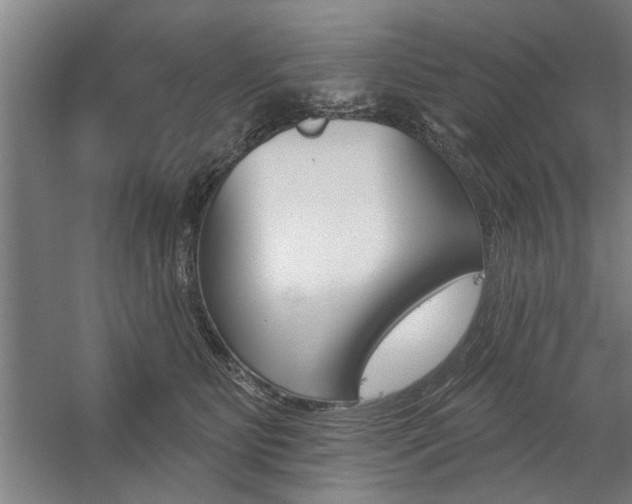 X0000059040515200510070828