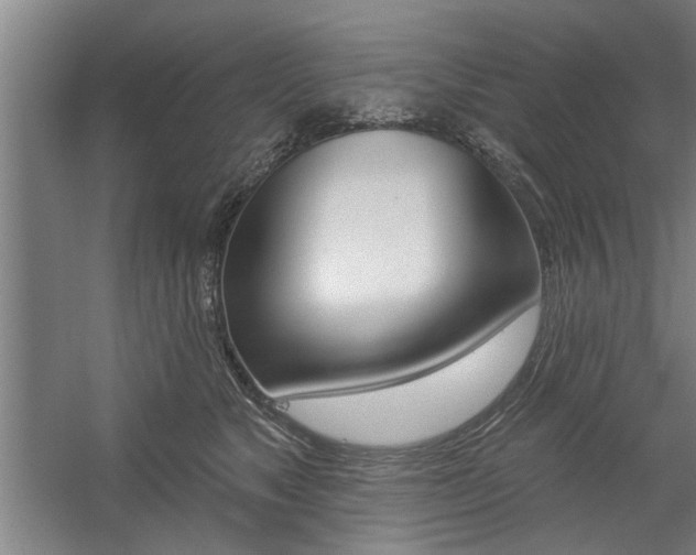 X0000059040517200510070828