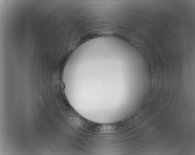 X0000059040518200510070828