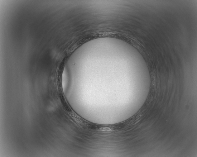 X0000059040519200510070828