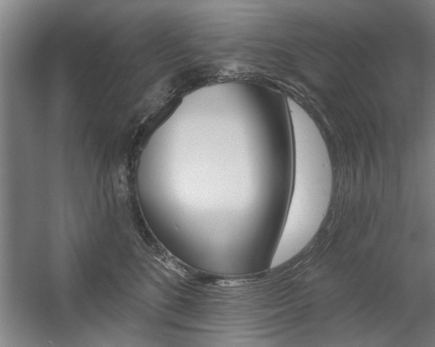 X0000059040520200510070828