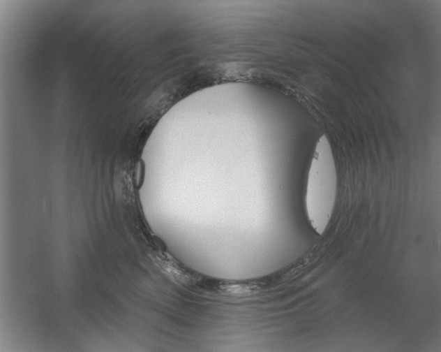 X0000059040522200510070828