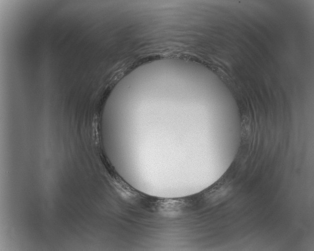 X0000059040527200510070828