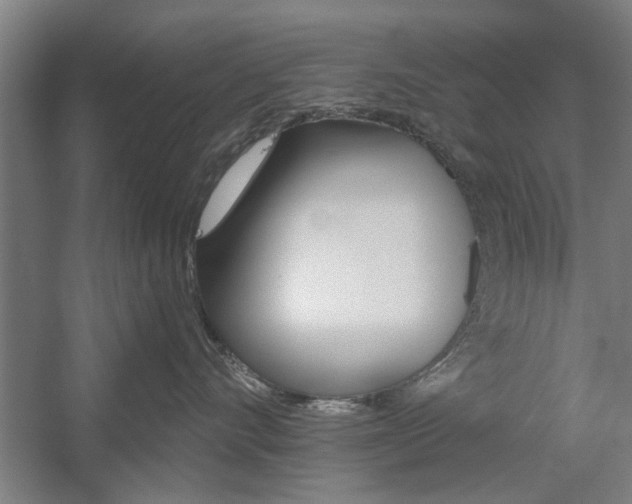 X0000059040528200510070828