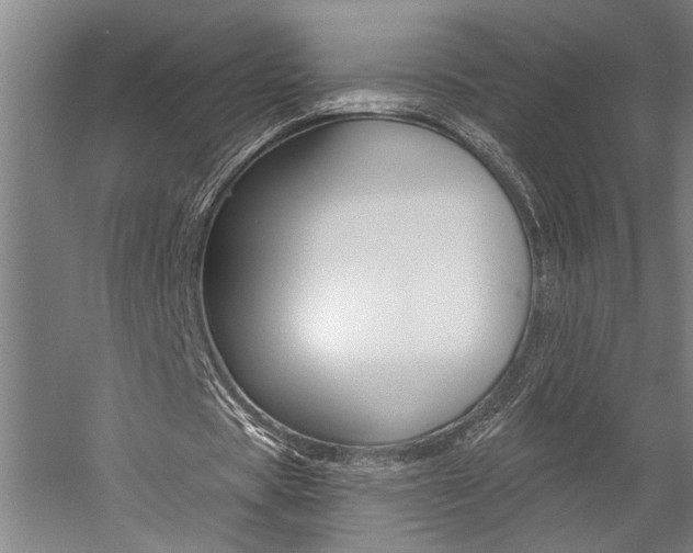 X0000059040529200510070827