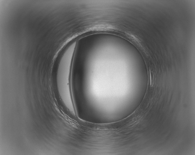 X0000059040531200510070827