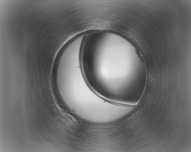 X0000059040532200510070827