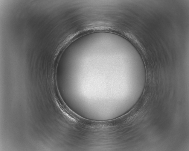 X0000059040533200510070827