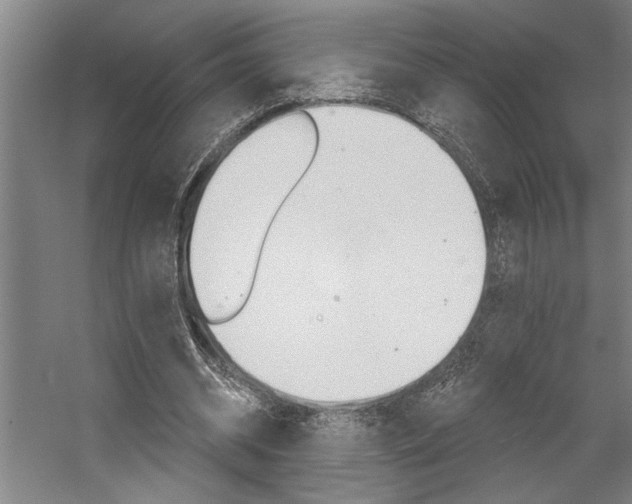 X0000059040534200510070827