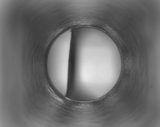 X0000059040537200510070827