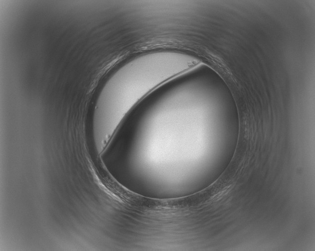 X0000059040538200510070827